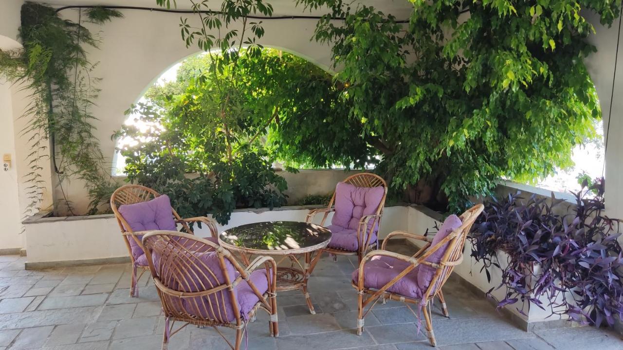 Antika 6 Hotel Tolo Ngoại thất bức ảnh